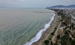 Sel suyu, Akdeniz'i kahverengiye bürüdü