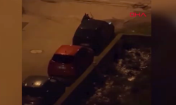 Alkollü kadın park halindeki araçlara saldırdı