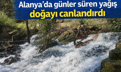 Alanya’da günler süren yağış doğayı canlandırdı