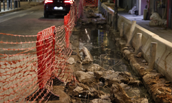 Yol tartışmasında kulağını ısırarak kopardı