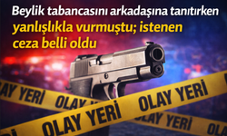 Beylik tabancasını arkadaşına tanıtırken yanlışlıkla vurmuştu; istenen ceza belli oldu