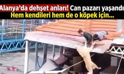 Alanya’da dehşet anları! Can pazarı yaşandı: Hem kendileri hem de o köpek için...