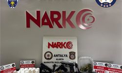 Alanya'da eş zamanlı operasyon