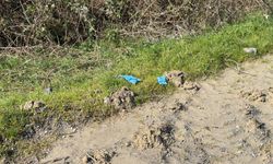 Kayıp iş insanı toprağa gömülü bulundu