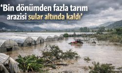 Alanya'da tarım arazileri su altında kaldı