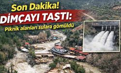 Son Dakika! Dimçayı taştı: Piknik alanları sulara gömüldü