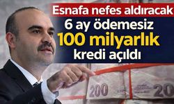 Esnafa nefes aldıracak 6 ay ödemesiz 100 milyarlık kredi açıldı