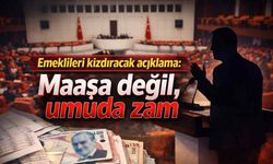 Emeklileri kızdıracak açıklama: Maaşa değil, umuda zam
