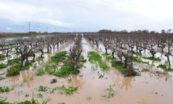 Çay taştı; 20 mahalle sular altında kaldı