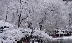 Soğuk hava can aldı: 18 ölü