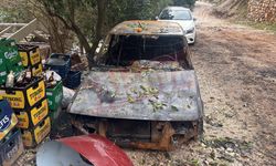 Alanya'da kesilmeyen elektrik 9 milyonluk zarara yol açtı