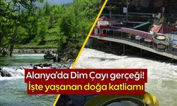 Alanya'da Dim Çayı gerçeği! İşte yaşanan doğa katliamı