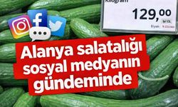 Alanya salatalığı sosyal medyanın gündeminde