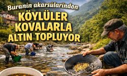 Buranın akarsularından köylüler kovalarla altın topluyor
