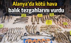 Alanya’da kötü hava balık tezgahlarını vurdu