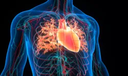 Tıkalı damarlar için mucize karışım