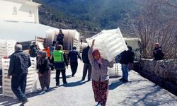 Üreticilere ipekböceği besleme tablası desteği