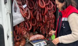 Antalya'da 176 kilo tarihi geçmiş sucuk ele geçirildi