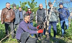 Antalya’da ATASEM’den ağaç bakımı eğitimi