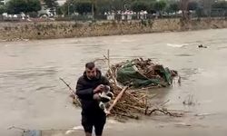 Alanya'da Dimçayı'nda mahsur kalan kedi kurtarıldı