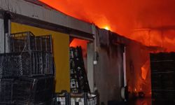 Antalya'da muz tesisini alevler sardı