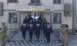 Annesinin başına odunla vurarak ö*dürdü