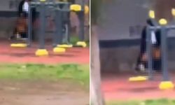 Cizre’de parkta gündüz yaşananlar tepki topladı