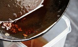 Bitkisel atıklar toplanacak