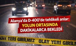 Alanya’da D-400’de tehlikeli anlar: Yolun ortasında dakikalarca bekledi