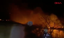 Ailesini kurtarmak için canını feda etti