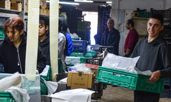 Antalya Toptancı Hali’nden günde 3 bin ton sevkiyat: 64 ülkeye ihracat yapılıyor