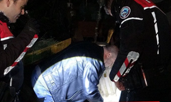 Antalya’da şüpheli ölüm: Genç kadın evinde silahla vurulmuş bulundu