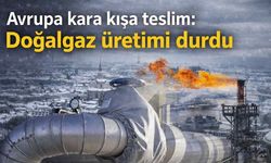 Avrupa kara kışa teslim: Doğalgaz üretimi durdu