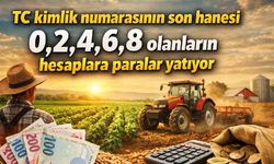 TC kimlik numarasının son hanesi 0,2,4,6,8 olanların hesaplara paralar yatıyor
