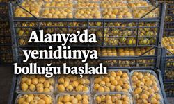 Alanya’da yenidünya bolluğu başladı