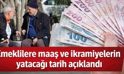 Emeklilere maaş ve ikramiyelerin yatacağı tarih açıklandı
