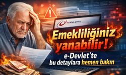 Emekliliğiniz yanabilir! e-Devlet’te bu detaylara hemen bakın
