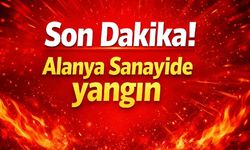 Son Dakika! Alanya Sanayide yangın