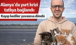 Alanya'da yurt krizi tatlıya bağlandı: Kayıp kediler yuvasına döndü