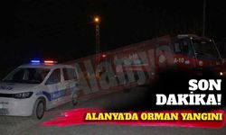 Son dakika! Alanya'da orman yangını