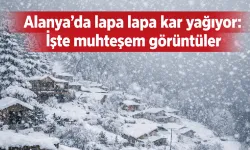 Alanya'da lapa lapa kar yağıyor: İşte muhteşem görüntüler
