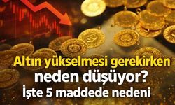 Altın yükselmesi gerekirken neden düşüyor? İşte 5 maddede nedeni