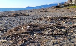 Alanya sahillerinde bayram temizliği: Belediye çağrılara "Jet" hızıyla yanıt verdi