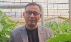 Alanya Ziraat Odası'ndan zincir marketlere 'Patlıcan' uyarısı