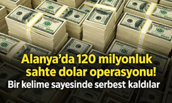 Alanya'da 120 milyonluk sahte dolar operasyonu! Bir kelime sayesinde serbest kaldılar