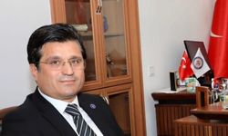 İYİ Parti Alanya'dan asırlık ağaç kıyımına sert tepki