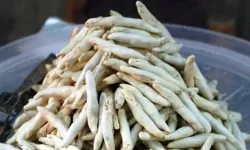 Konya dağlarında 4 bin yıllık hazine: 10 bin liraya satılıyor - Konya Haberleri