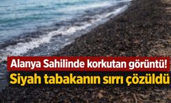Alanya'da sahili kaplayan siyah tabaka alarmı! Bu da neyin nesi?