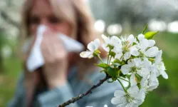 Polen alerjisi uyarısı: Sabah saatleri ve rüzgarlı havalara dikkat