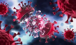 Uzmandan uyarı: “Ağustos Böceği” varyantı yayılıyor